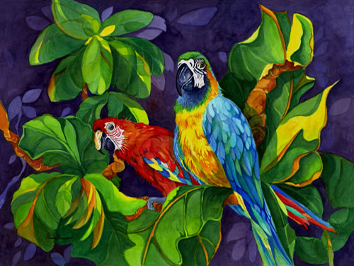 Two Macaws
