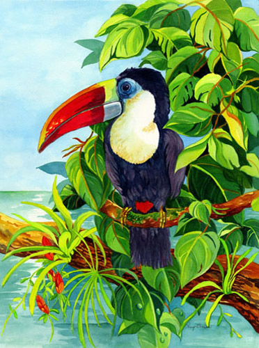 Toucan