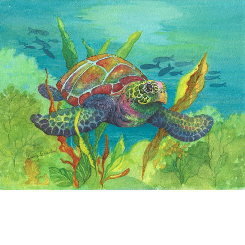 Sea Turtle
